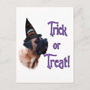 Postal Apricot Mastiff Trick Postcard
