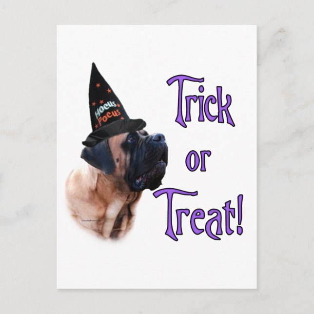 Postal Apricot Mastiff Trick Postcard (Anverso)