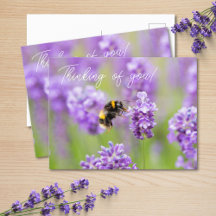 Apuesta En Lavender Pensando En Tu Postcard
