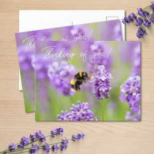 Postal Apuesta En Lavender Pensando En Tu Postcard
