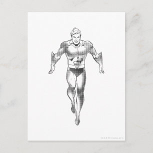 Postal Aquaman ejecuta BW