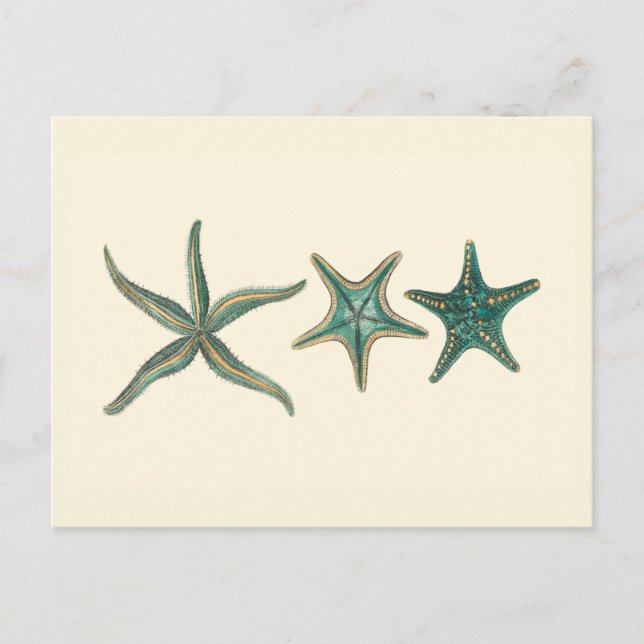 Postal Aquamarine Triple Starfish (Anverso)