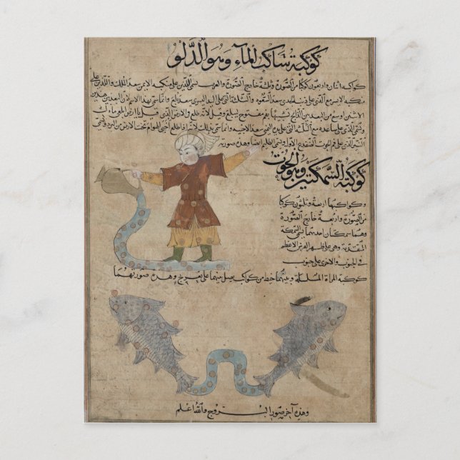 Postal Aquarius y Pisces (Anverso)