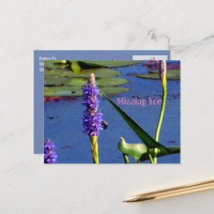 Postal Aquatic Brillantemente Colorido Te Extraña