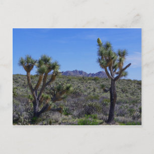 Postal Aquí está Johnny.