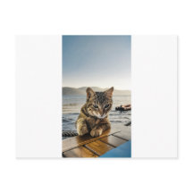 "Aquí estoy" dice el gato