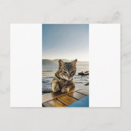 Postal "Aquí estoy" dice el gato