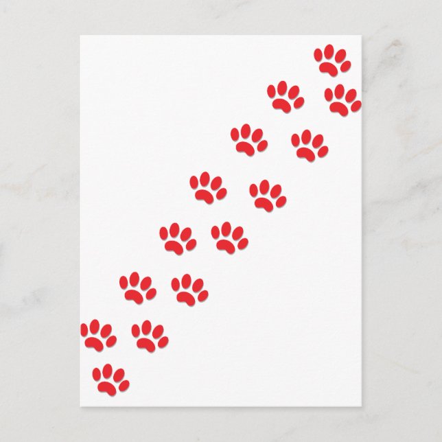 Postal Aquí las paradas de gatos Kitty (Anverso)