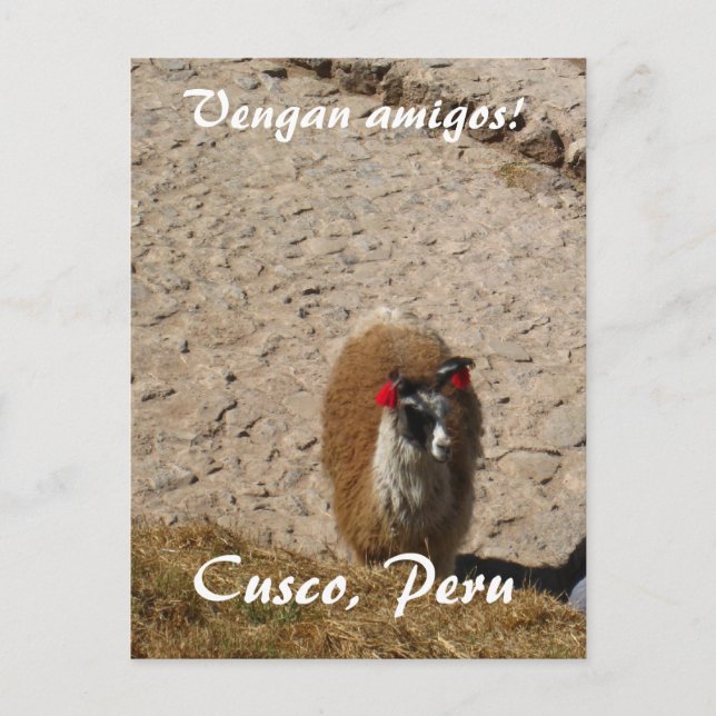 Postal Aquí llama de la llama (Anverso)