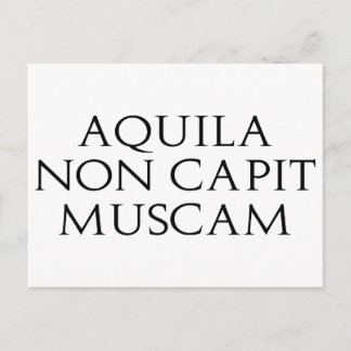 Postal Aquila Non Capit Muscam