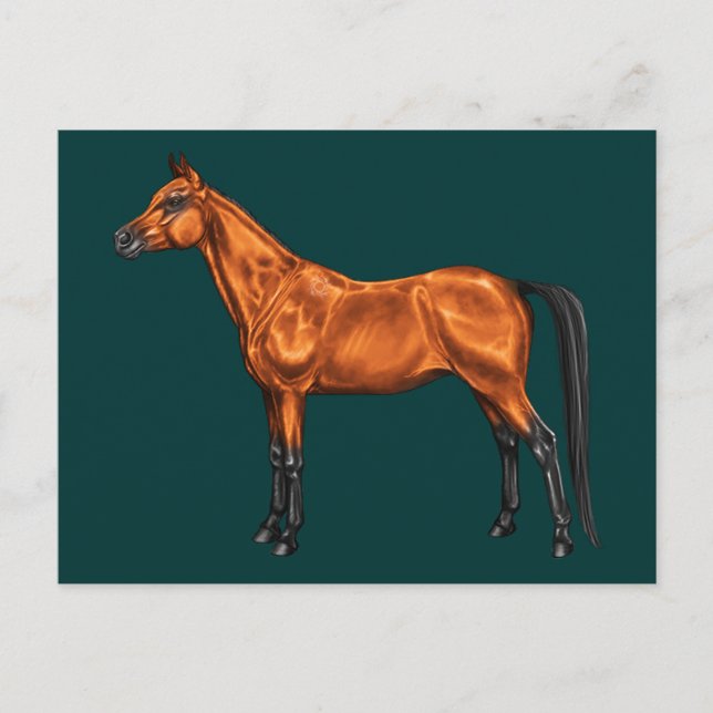 Postal Árabe (Anverso)