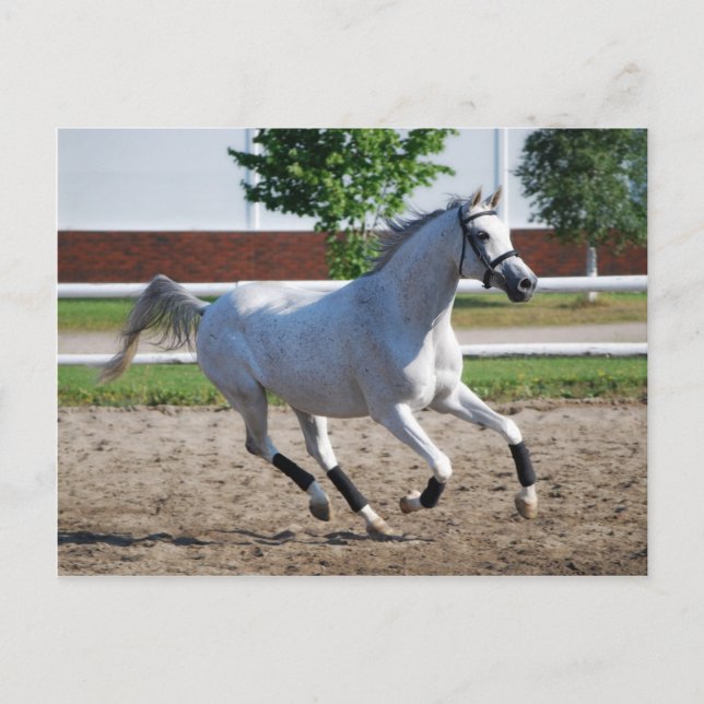 Postal Árabe 1 (Anverso)