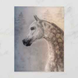 Postal árabe del caballo