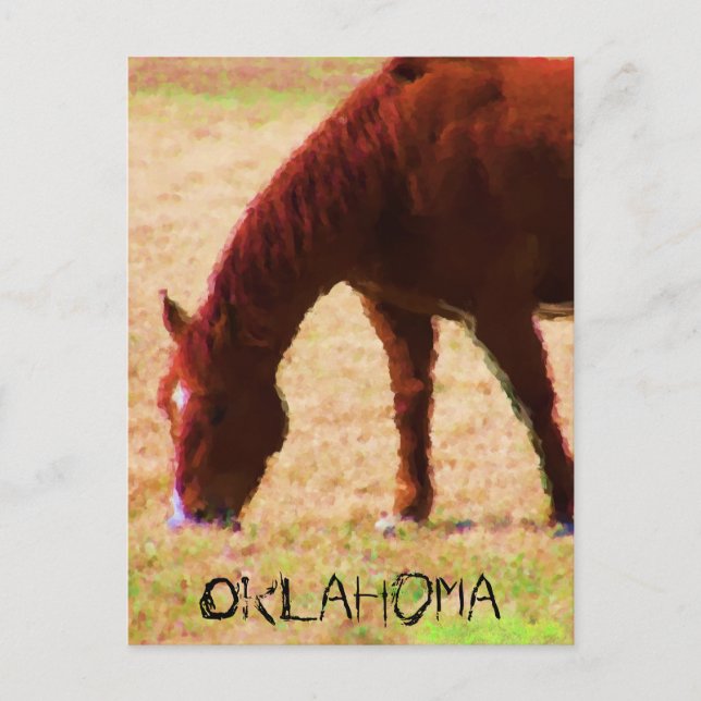 Postal Araña (Anverso)