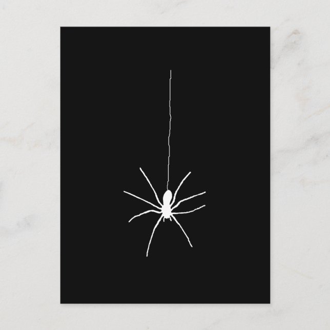 Postal Araña colgante blanca (Anverso)
