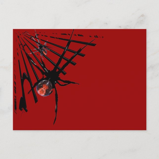 Postal Araña de retroceso (Anverso)