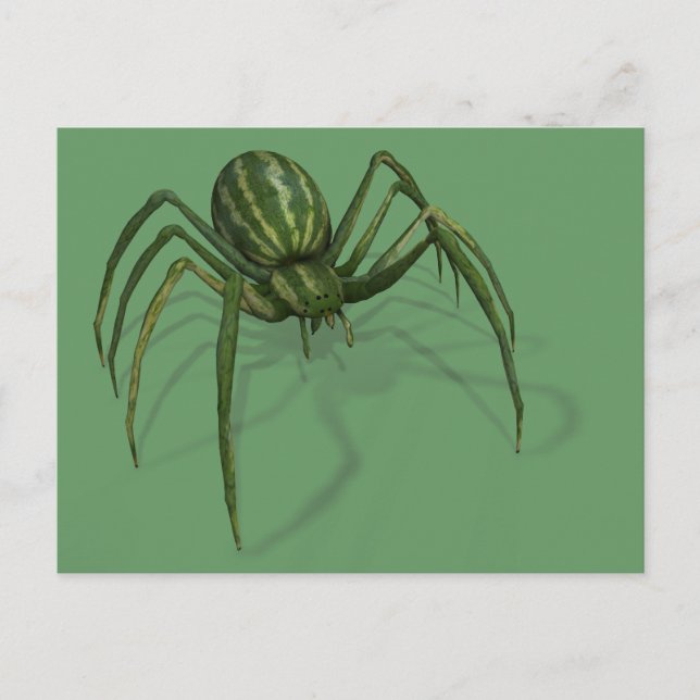 Postal Araña de sandía rara (Anverso)