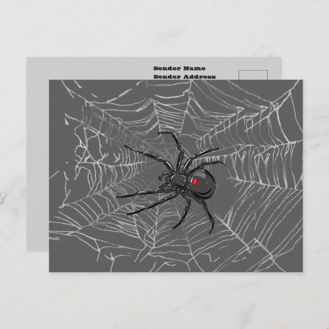 Postal Araña De Viuda Negra Y Arte De Dibujo De Spiderweb (Anverso / Reverso)