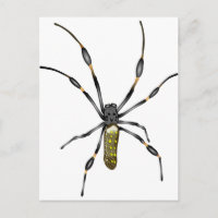 Araña Orb Dorada