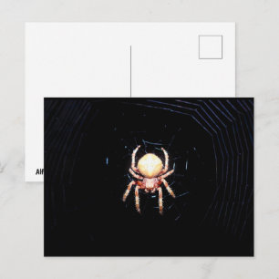 Postal Araña tejedora de ruedas naranja