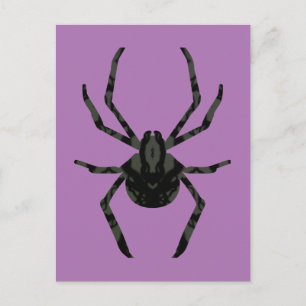 Postal Araña Vieja Ligera
