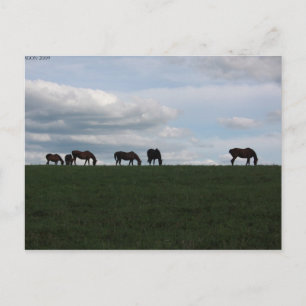 Postal Arañar en la colina