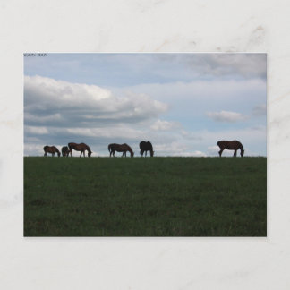 Postal Arañar en la colina