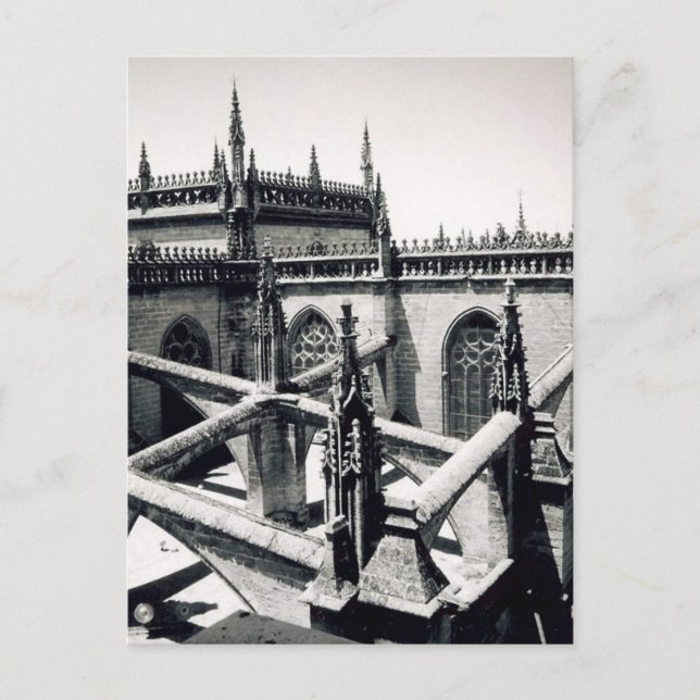 Postal arañas (Anverso)