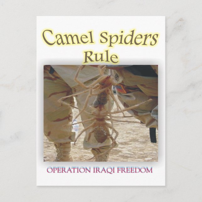 Postal Arañas (Anverso)