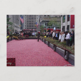 Postal arándanos en el centro de la ciudad de Nueva York