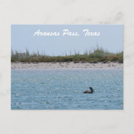 Postal Aransas Pass Costa de Texas con Pelícano