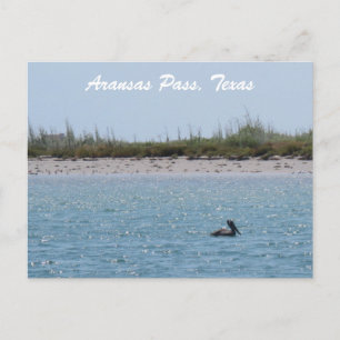 Postal Aransas Pass Costa de Texas con Pelícano