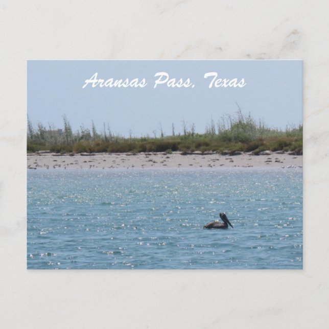 Postal Aransas Pass Costa de Texas con Pelícano (Anverso)