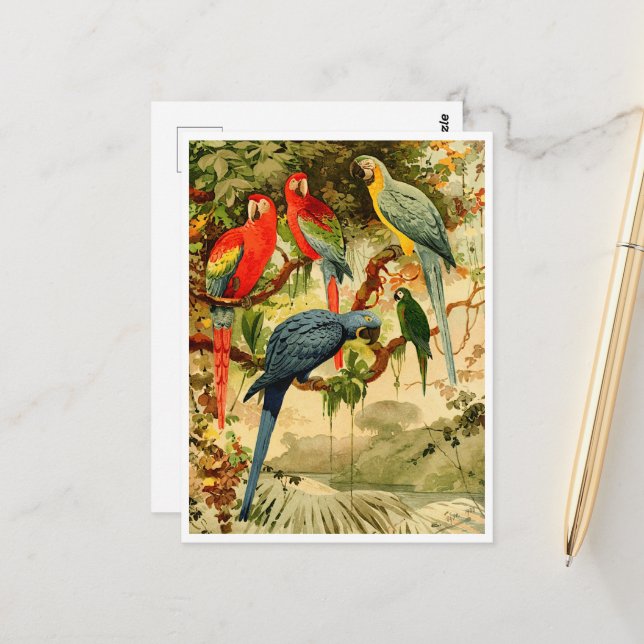 Postal Aráras, Emil August Göldi (1900-1906) (Anverso/Reverso In Situ)