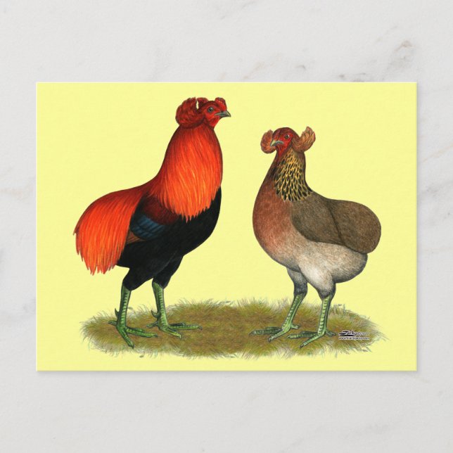Postal Araucana Par Rojo (Anverso)
