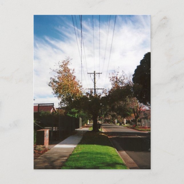 Postal árbol (Anverso)