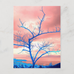 Postal árbol