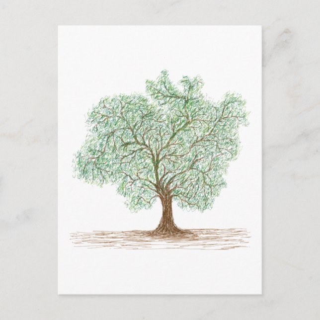 Postal árbol (Anverso)