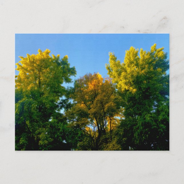 Postal Árbol (Anverso)