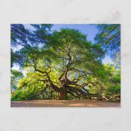 Postal Árbol angelical etéreo de roble