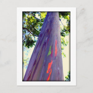 Postal Árbol arcoiris