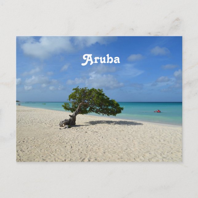 Postal Árbol Aruba Divi (Anverso)