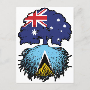 Postal Árbol australiano de Santa Lucía