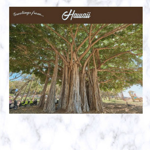 Postal Árbol Banyan en Queens Beach En Honolulu Oahu Haw