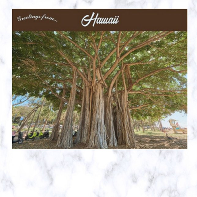 Postal Árbol Banyan en Queens Beach  En Honolulu Oahu Haw (Subido por el creador)