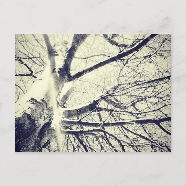 Postal Árbol blanco y negro desnudo (Anverso)