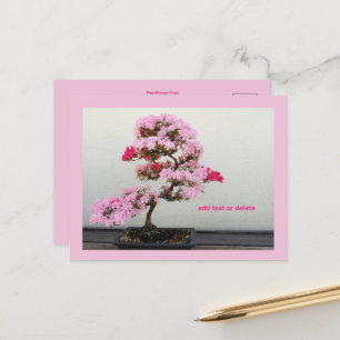 Postal Árbol Bonsai