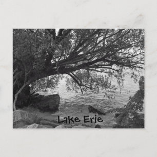 Postal Árbol caído sobre el lago Erie