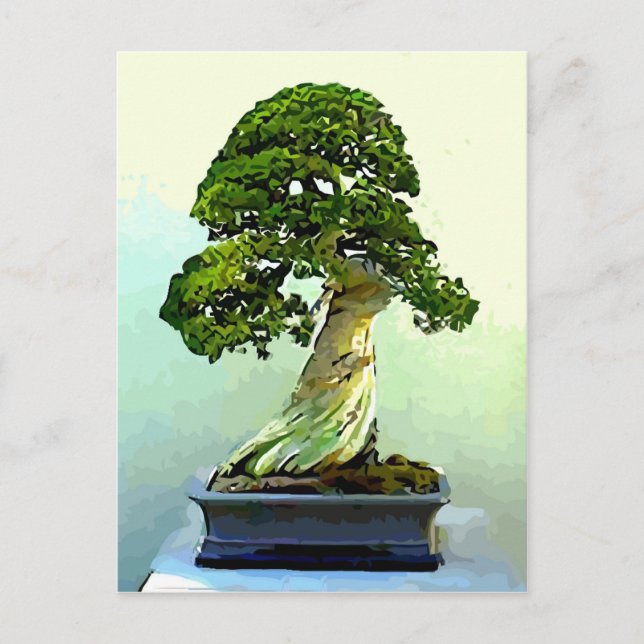 Postal Árbol ciprés de Bonsai (Anverso)