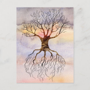 Postal Árbol contra el cielo